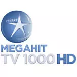 Канал мегахит. Tv1000 MEGAHIT. ТВ 1000 логотип. Канал tv1000. ТВ 1000 Мегахит.